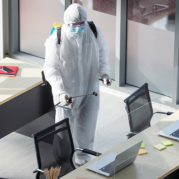 Desinfección profesional