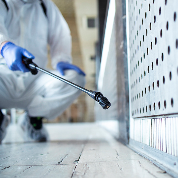 Sector Comunidad de vecinos fumigación