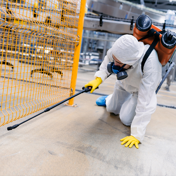 Sector industria eliminación de plagas