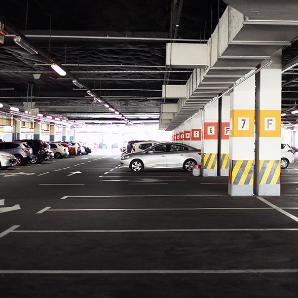 sector parkins libre de plagas